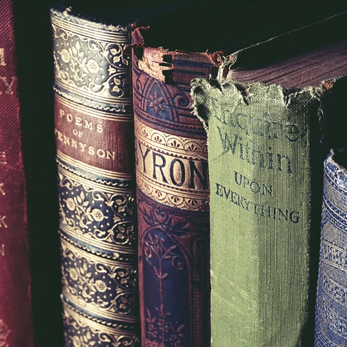 EXPERSITO - EDEBİYAT